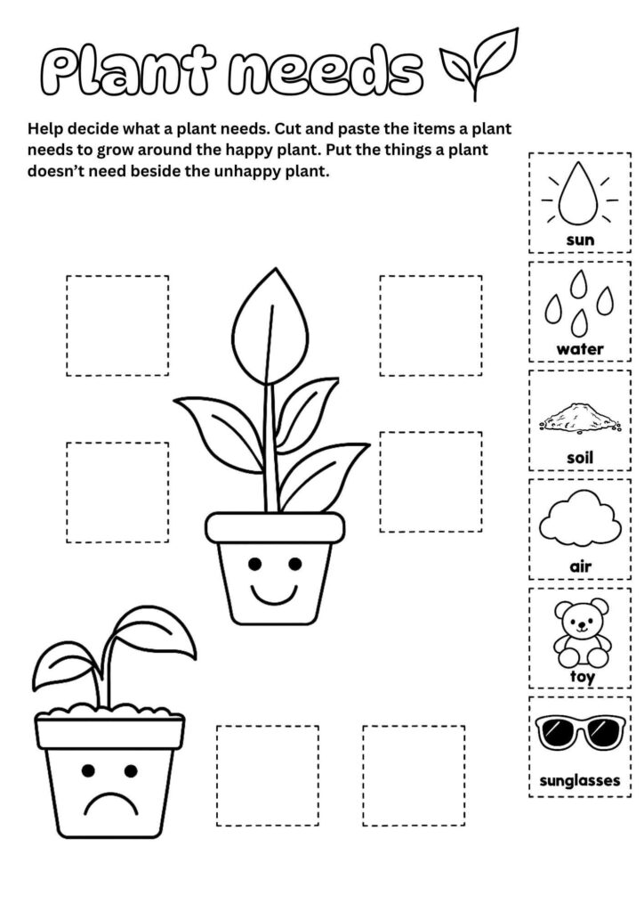 Close up of a child using a pencil on a plant lifecycle worksheet