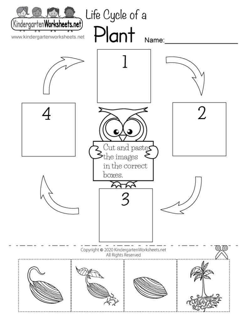 Simple black and white illustration of a sunflower on a worksheet